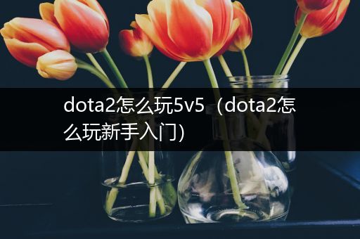 dota2怎么玩5v5（dota2怎么玩新手入门）