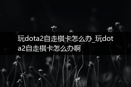 玩dota2自走棋卡怎么办_玩dota2自走棋卡怎么办啊