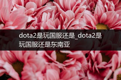 dota2是玩国服还是_dota2是玩国服还是东南亚