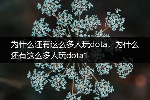 为什么还有这么多人玩dota，为什么还有这么多人玩dota1