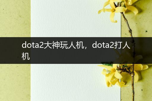 dota2大神玩人机，dota2打人机