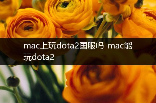 mac上玩dota2国服吗-mac能玩dota2