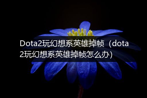 Dota2玩幻想系英雄掉帧（dota2玩幻想系英雄掉帧怎么办）