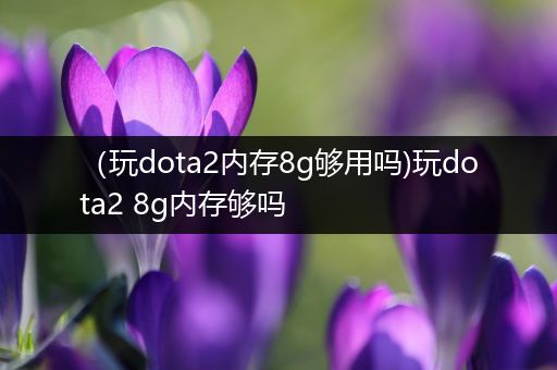 （玩dota2内存8g够用吗)玩dota2 8g内存够吗