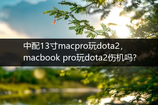 中配13寸macpro玩dota2，macbook pro玩dota2伤机吗?