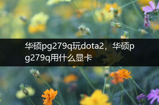 华硕pg279q玩dota2，华硕pg279q用什么显卡