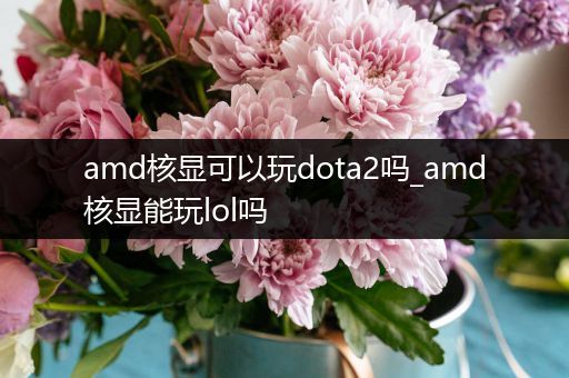 amd核显可以玩dota2吗_amd核显能玩lol吗