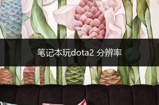 笔记本玩dota2 分辨率