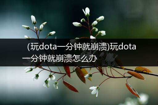 （玩dota一分钟就崩溃)玩dota一分钟就崩溃怎么办