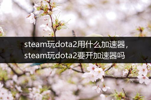 steam玩dota2用什么加速器，steam玩dota2要开加速器吗