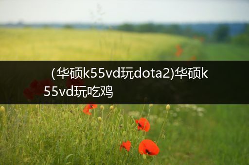 （华硕k55vd玩dota2)华硕k55vd玩吃鸡