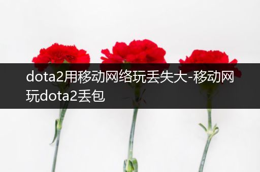 dota2用移动网络玩丢失大-移动网玩dota2丢包