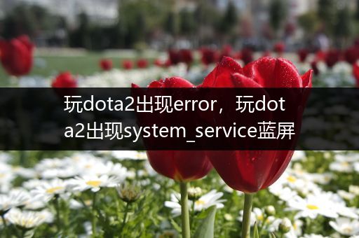 玩dota2出现error，玩dota2出现system_service蓝屏