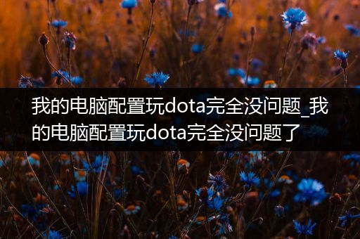 我的电脑配置玩dota完全没问题_我的电脑配置玩dota完全没问题了