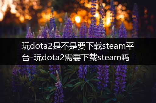 玩dota2是不是要下载steam平台-玩dota2需要下载steam吗