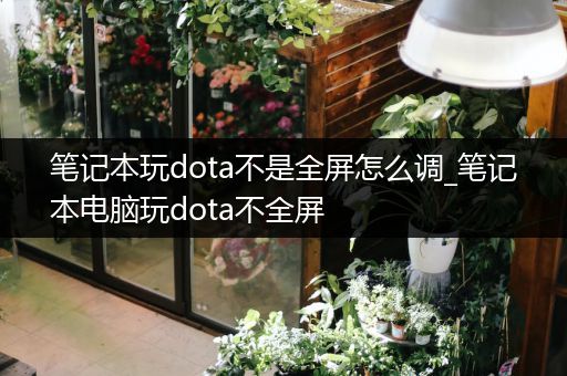 笔记本玩dota不是全屏怎么调_笔记本电脑玩dota不全屏