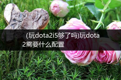 （玩dota2i5够了吗)玩dota2需要什么配置