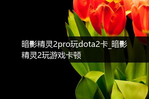 暗影精灵2pro玩dota2卡_暗影精灵2玩游戏卡顿