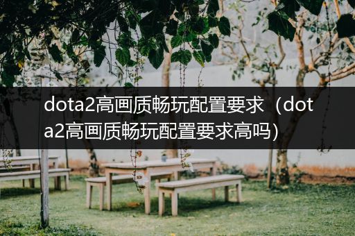 dota2高画质畅玩配置要求（dota2高画质畅玩配置要求高吗）