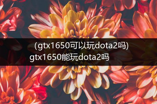 （gtx1650可以玩dota2吗)gtx1650能玩dota2吗