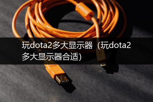 玩dota2多大显示器（玩dota2多大显示器合适）