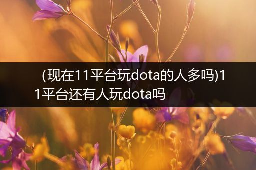 （现在11平台玩dota的人多吗)11平台还有人玩dota吗