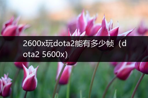 2600x玩dota2能有多少帧（dota2 5600x）