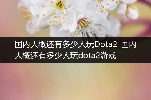 国内大概还有多少人玩Dota2_国内大概还有多少人玩dota2游戏