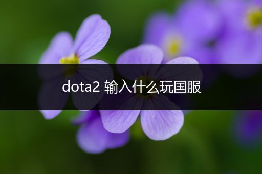 dota2 输入什么玩国服