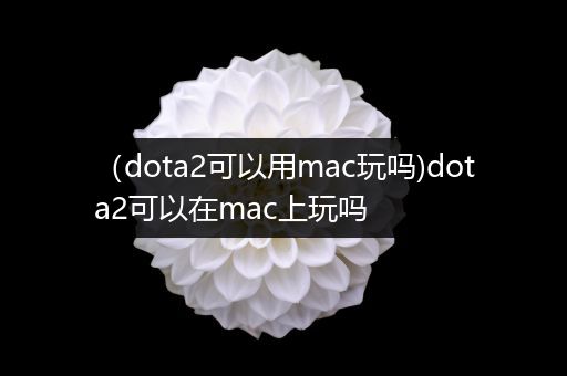 （dota2可以用mac玩吗)dota2可以在mac上玩吗