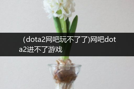 （dota2网吧玩不了了)网吧dota2进不了游戏