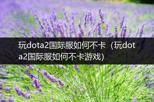 玩dota2国际服如何不卡（玩dota2国际服如何不卡游戏）