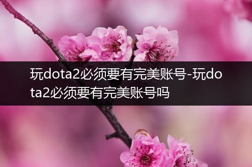 玩dota2必须要有完美账号-玩dota2必须要有完美账号吗