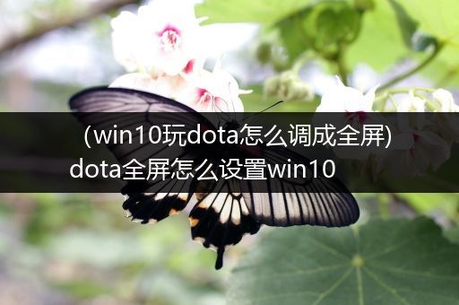（win10玩dota怎么调成全屏)dota全屏怎么设置win10