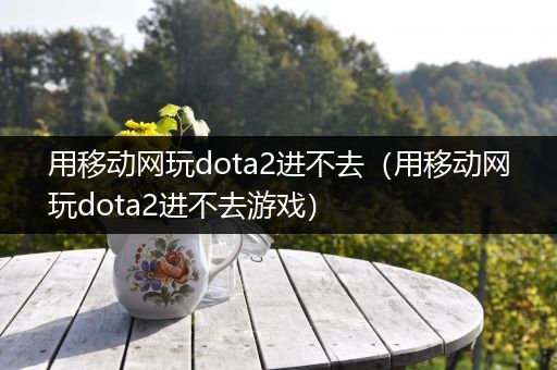 用移动网玩dota2进不去（用移动网玩dota2进不去游戏）