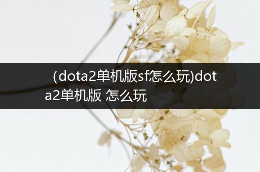 （dota2单机版sf怎么玩)dota2单机版 怎么玩