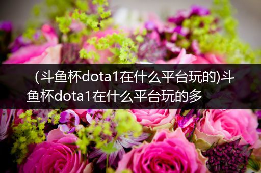 （斗鱼杯dota1在什么平台玩的)斗鱼杯dota1在什么平台玩的多