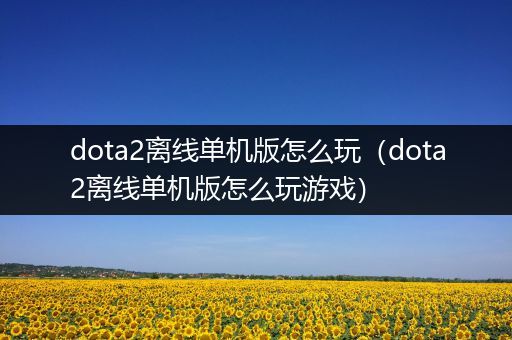 dota2离线单机版怎么玩（dota2离线单机版怎么玩游戏）