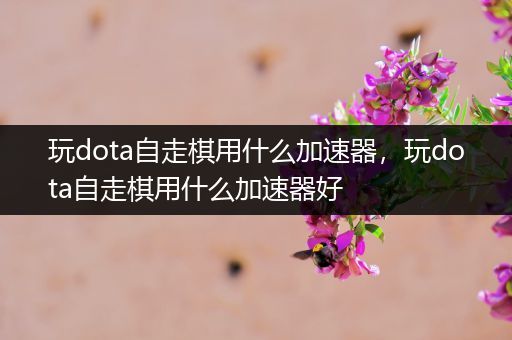 玩dota自走棋用什么加速器，玩dota自走棋用什么加速器好