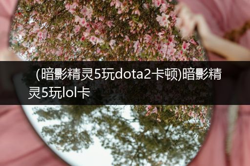 （暗影精灵5玩dota2卡顿)暗影精灵5玩lol卡