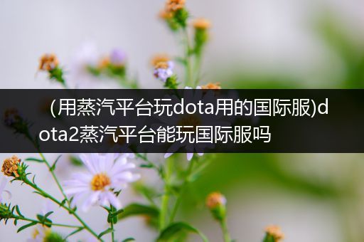 （用蒸汽平台玩dota用的国际服)dota2蒸汽平台能玩国际服吗