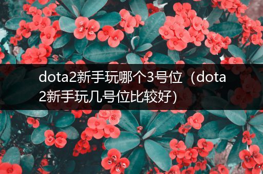 dota2新手玩哪个3号位（dota2新手玩几号位比较好）