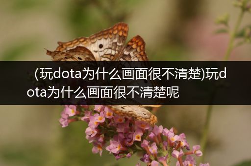 （玩dota为什么画面很不清楚)玩dota为什么画面很不清楚呢