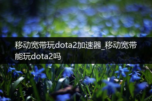 移动宽带玩dota2加速器_移动宽带能玩dota2吗