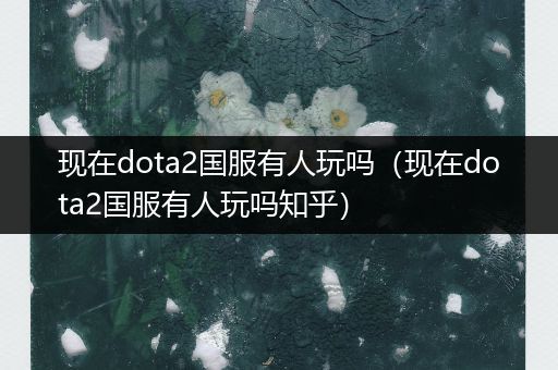 现在dota2国服有人玩吗（现在dota2国服有人玩吗知乎）