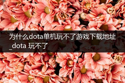 为什么dota单机玩不了游戏下载地址_dota 玩不了