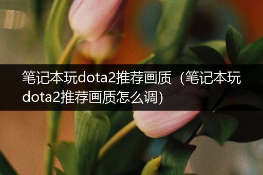 笔记本玩dota2推荐画质（笔记本玩dota2推荐画质怎么调）