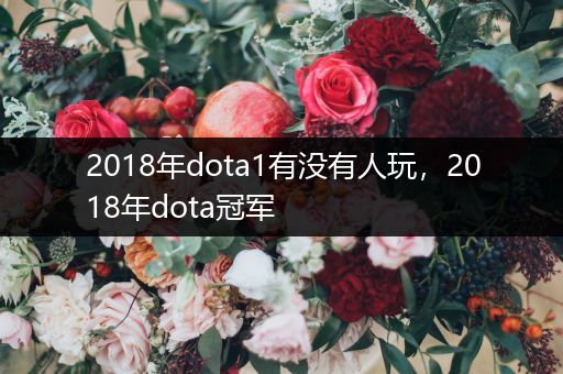 2018年dota1有没有人玩，2018年dota冠军