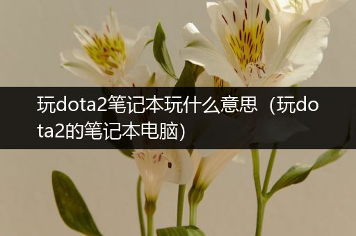 玩dota2笔记本玩什么意思（玩dota2的笔记本电脑）