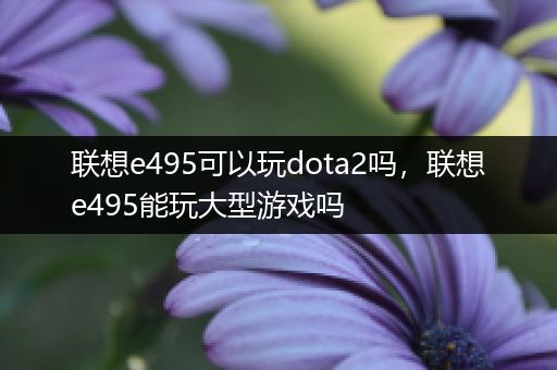 联想e495可以玩dota2吗，联想e495能玩大型游戏吗